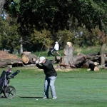 East-Potomac-copy.webp.webp