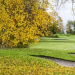 Fall-golf.webp.webp