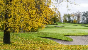 Fall-golf.webp.webp