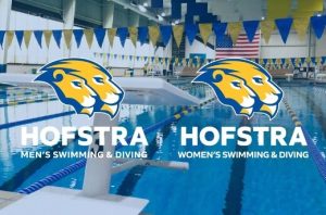 Hofstra.jpg