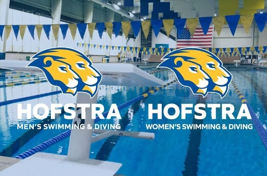 Hofstra.jpg