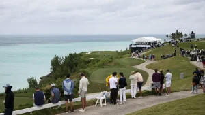 bermuda.webp.webp