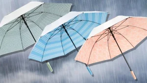 shed-rain-umbrellas.webp.webp