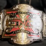 tna-wrestling-x-division-championship-aug-27.jpg