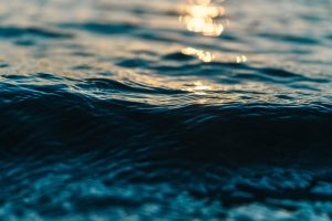 water-2208931_960_720.jpg