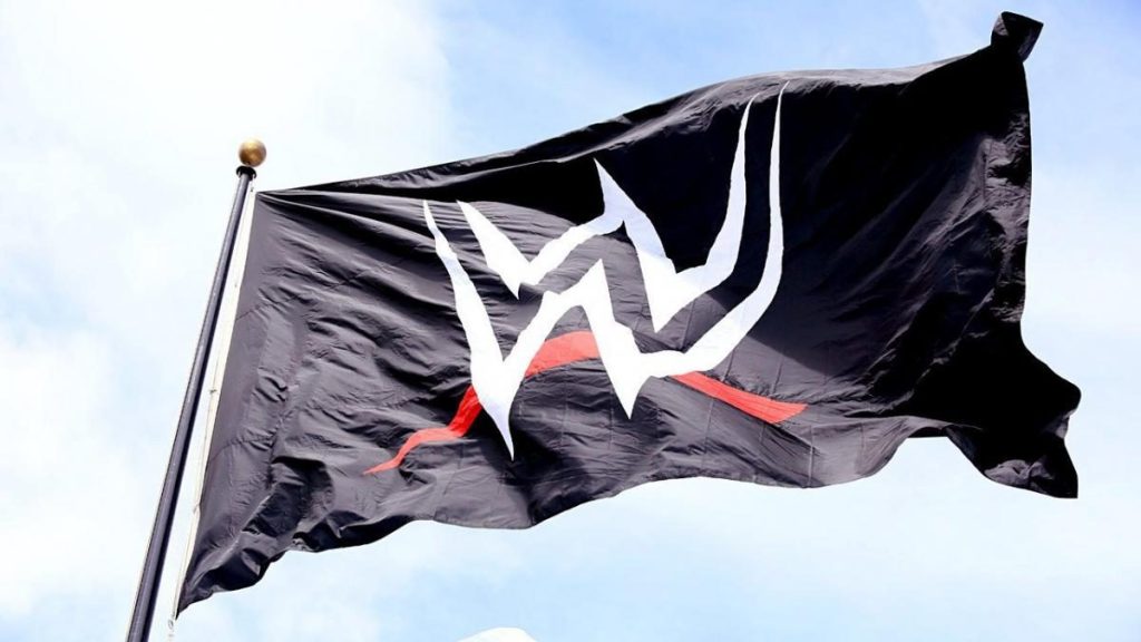 wwe-flag-logo-u.jpg