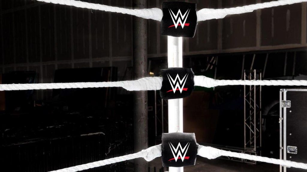 wwe-turnbuckle-logo-new-jul-10.jpg