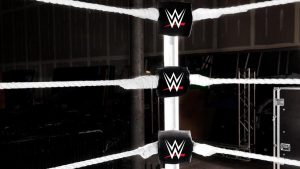 wwe-turnbuckle-logo-new-jul-10.jpg